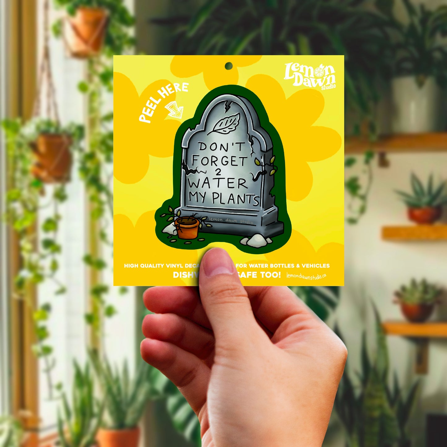 Don’t Forget To Water My Plants Vinyl Sticker